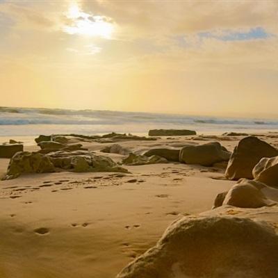 上下分的捕鱼appapp下载