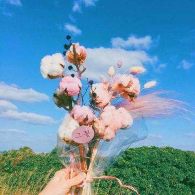 上下分的捕鱼appapp下载